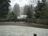 snow-2005-02.jpg